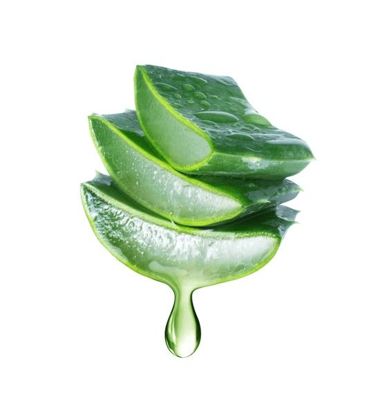 Aloe vera